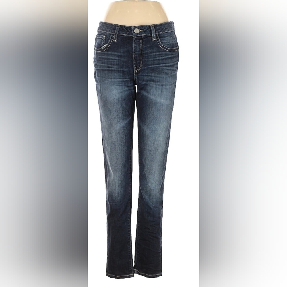 BKE Payton Skinny Jeans